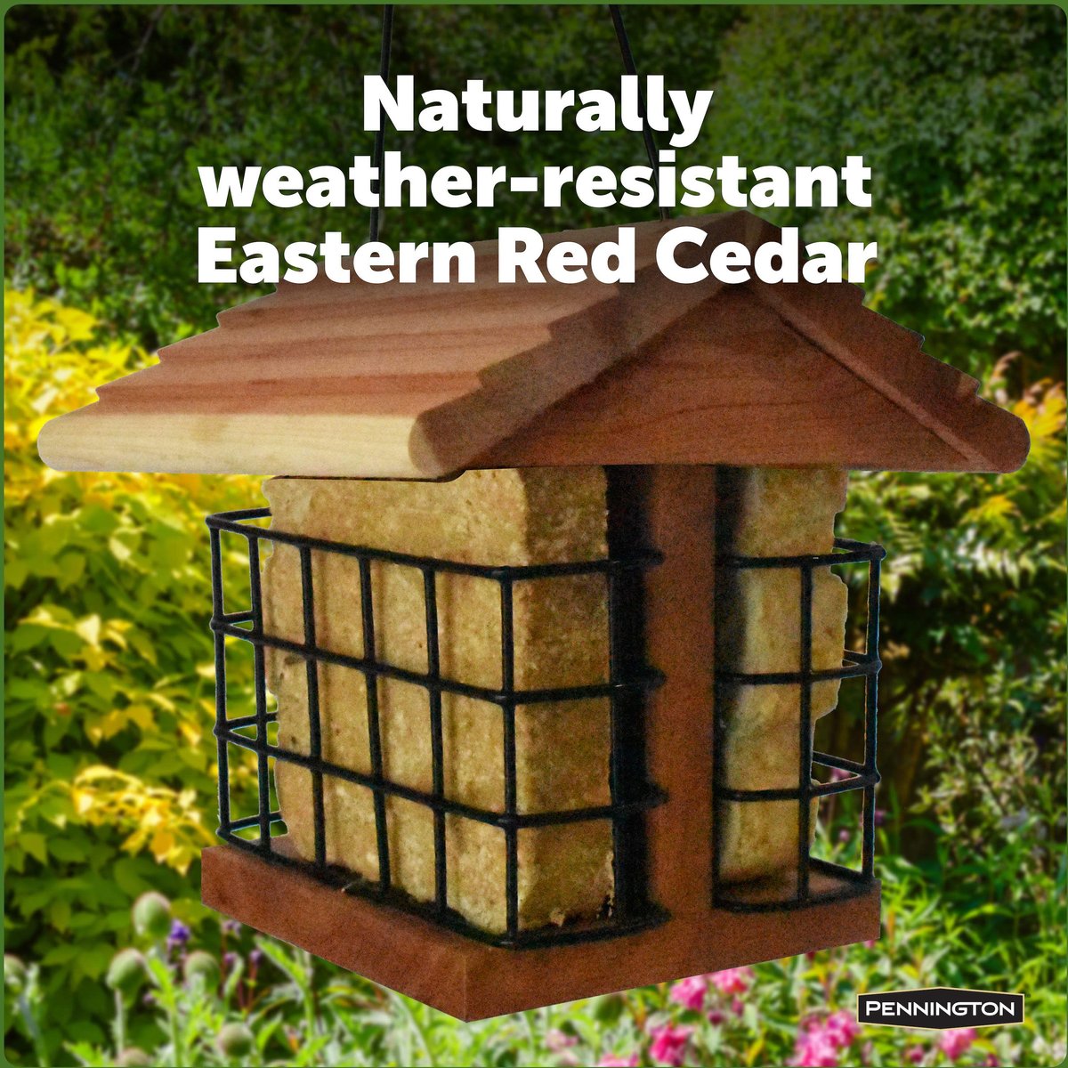 Pennington Cedar Suet Station Bird Feeder