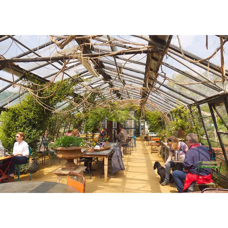 Botou hengsheng supply cheap greenhouse restaurant greenhouse cafe for sale HS GREENHOUSE 1