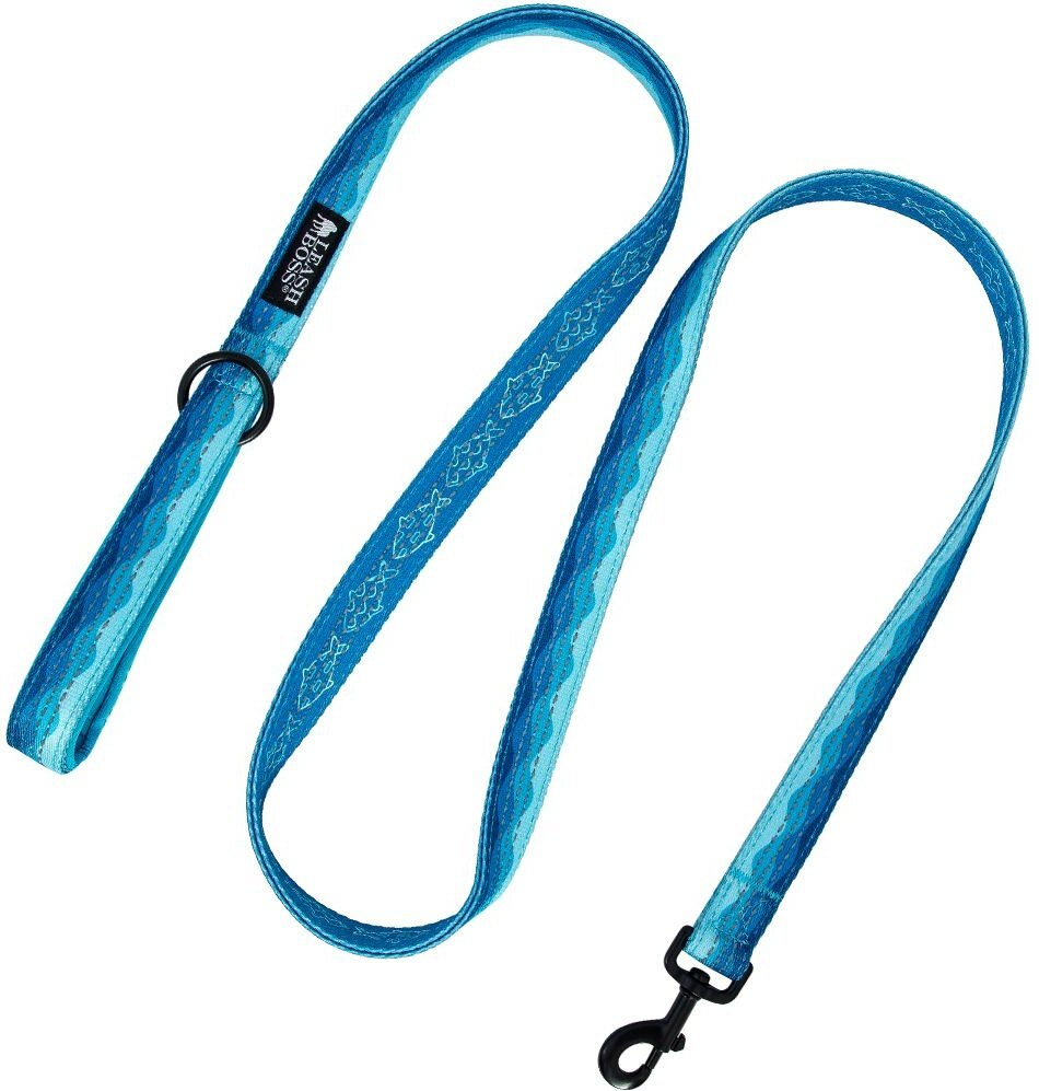 Leashboss Patterned Standard Dog Leash， 6-ft long