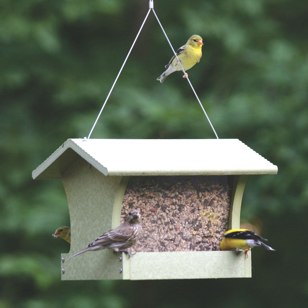 Birds Choice Medium Hopper Bird Feeder in Green Recycled Plastic