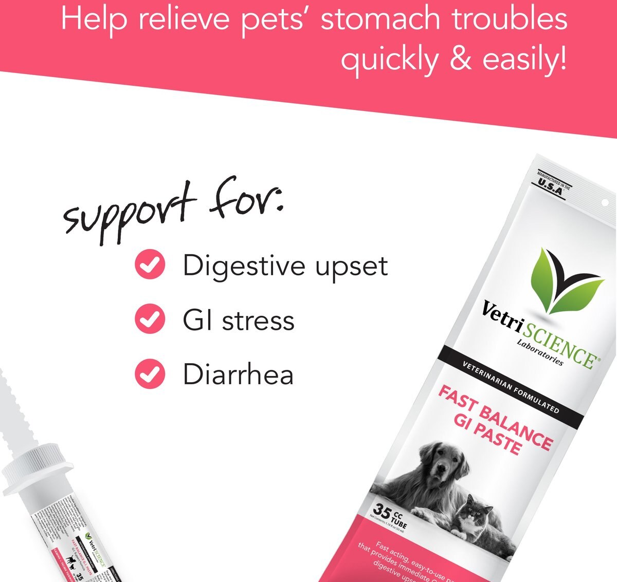 VetriScience Fast Balance G.I. Paste Medication for Digestive Issues for Cats and Dogs