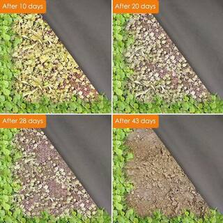 Agfabric 4 ft. x 300 ft. 2.3oz. Non-Woven Weed Barrier Landscape Fabric Ground Cover WB2304300