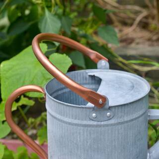 Cubilan 1 Gal. Watering Can Decorative Farmhouse Watering Can Metal Watering Can with Removable Spout B083F9N5M7