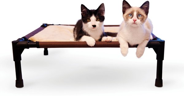 KandH Pet Products Comfy Pet Cot Elevated Pet Bed