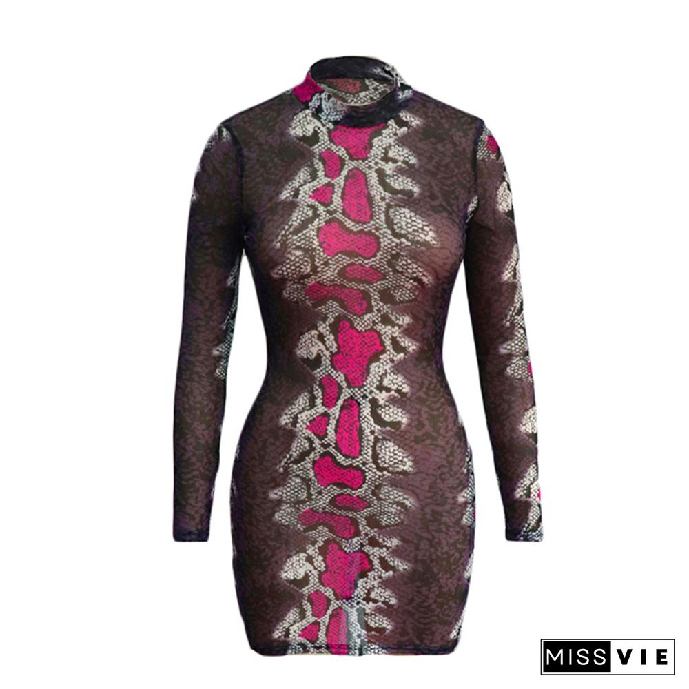 Snakeskin Mesh Sheer Long Sleeve Bodycon Dress