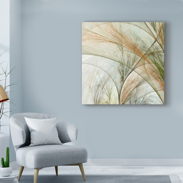 Trademark Fine Art james Burghardt x27 fractal Grass Iii x27 Canvas Art