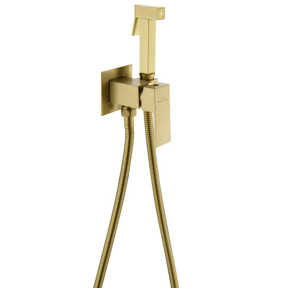 Boyel Living Wall Mount Single-Handle Handheld Bidet Sprayer with Handle and Mixer Body in Brushed Gold SMD-16028BG