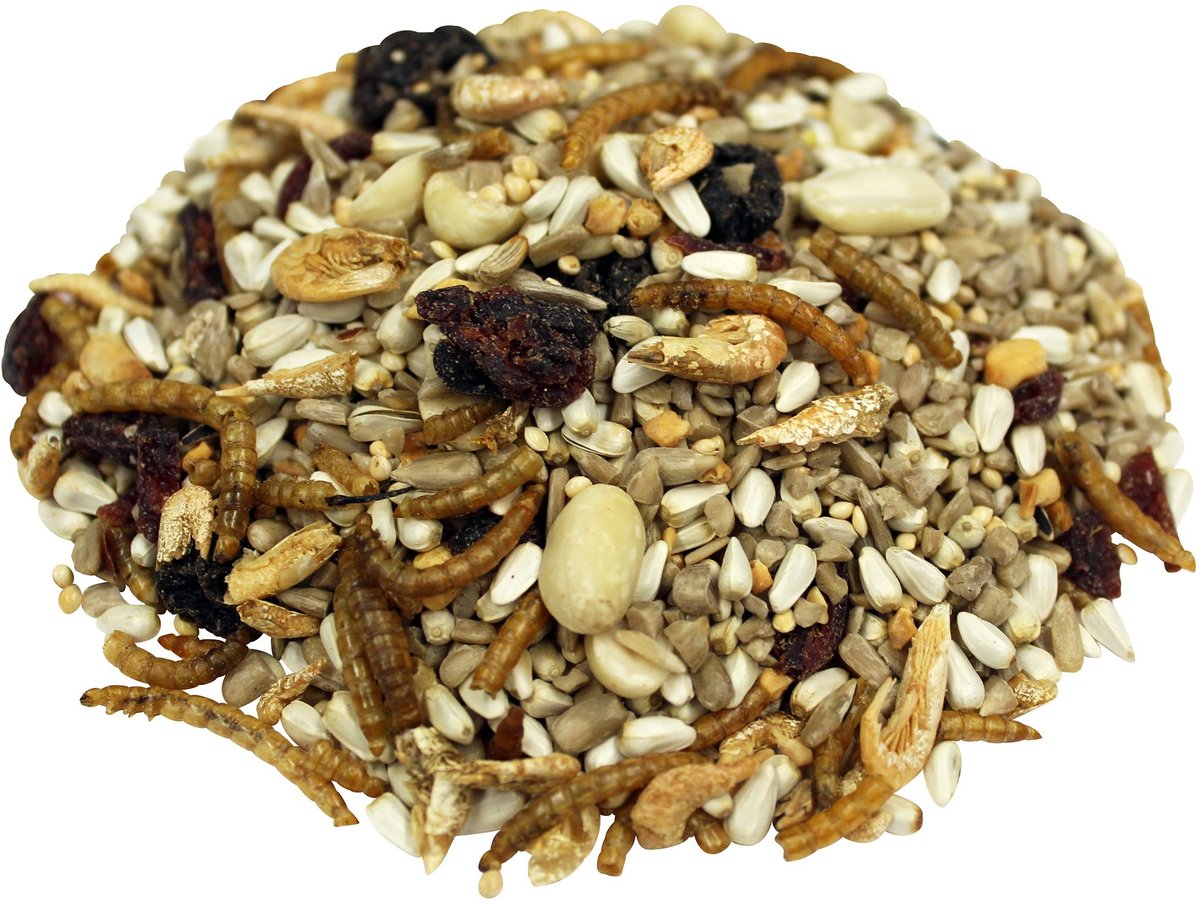 Brown's Bird Lover's Blend Nuts， Berries and Bugs! Gourmet Wild Bird Food