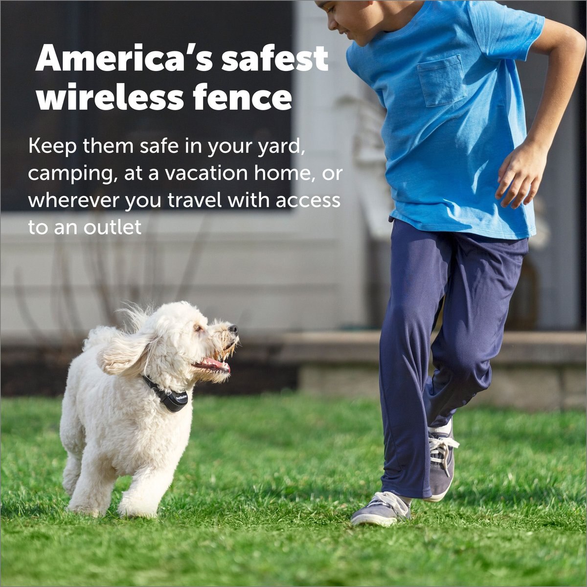 PetSafe Stay and Play Wireless Fence with Replaceable Battery Collar