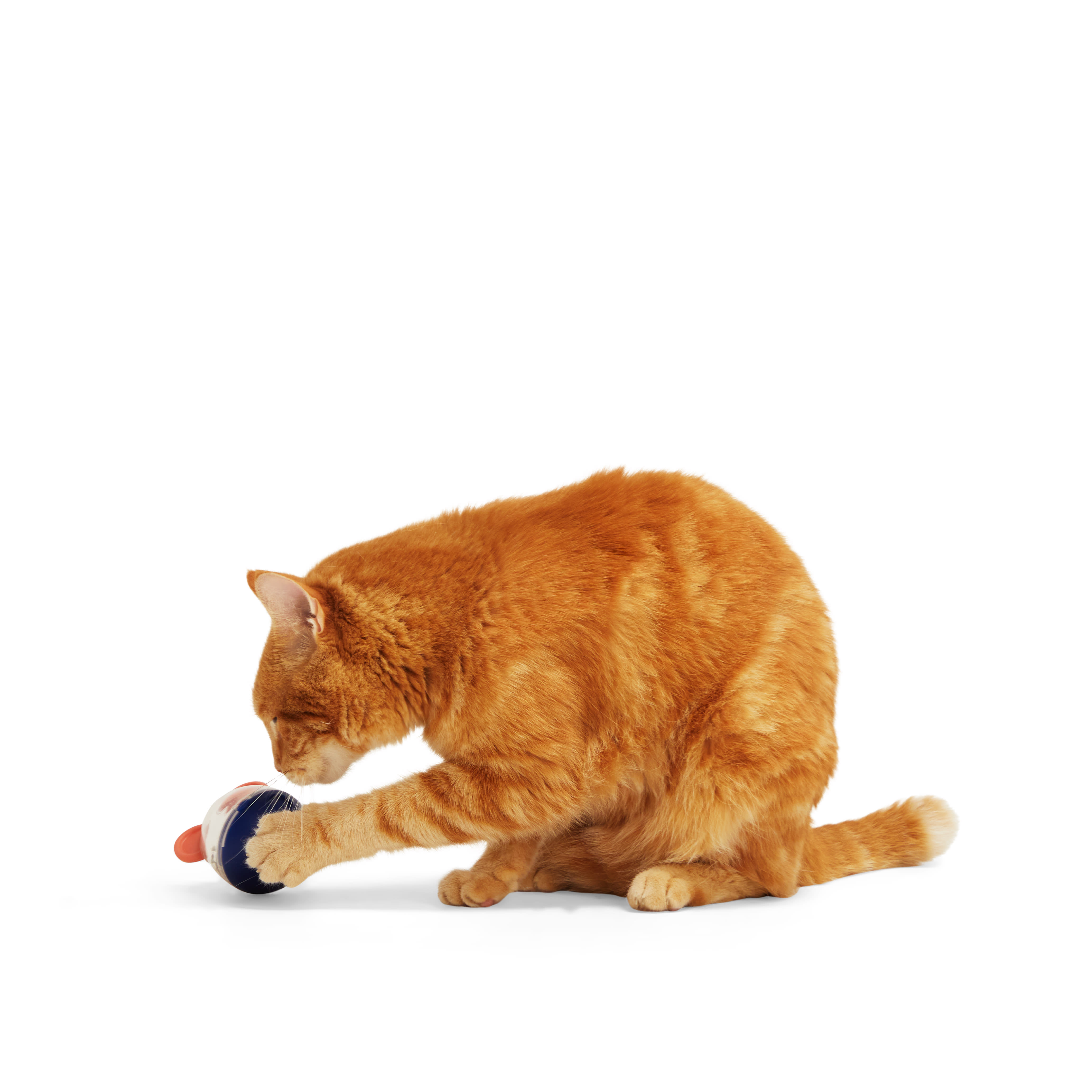 Leaps  Bounds Mouse Treat Dispenser Cat Toy