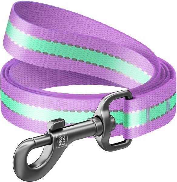 WAUDOG Glow in the Dark Nylon Dog Leash