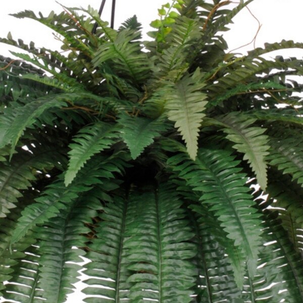 Faux Fern Hanging Basket