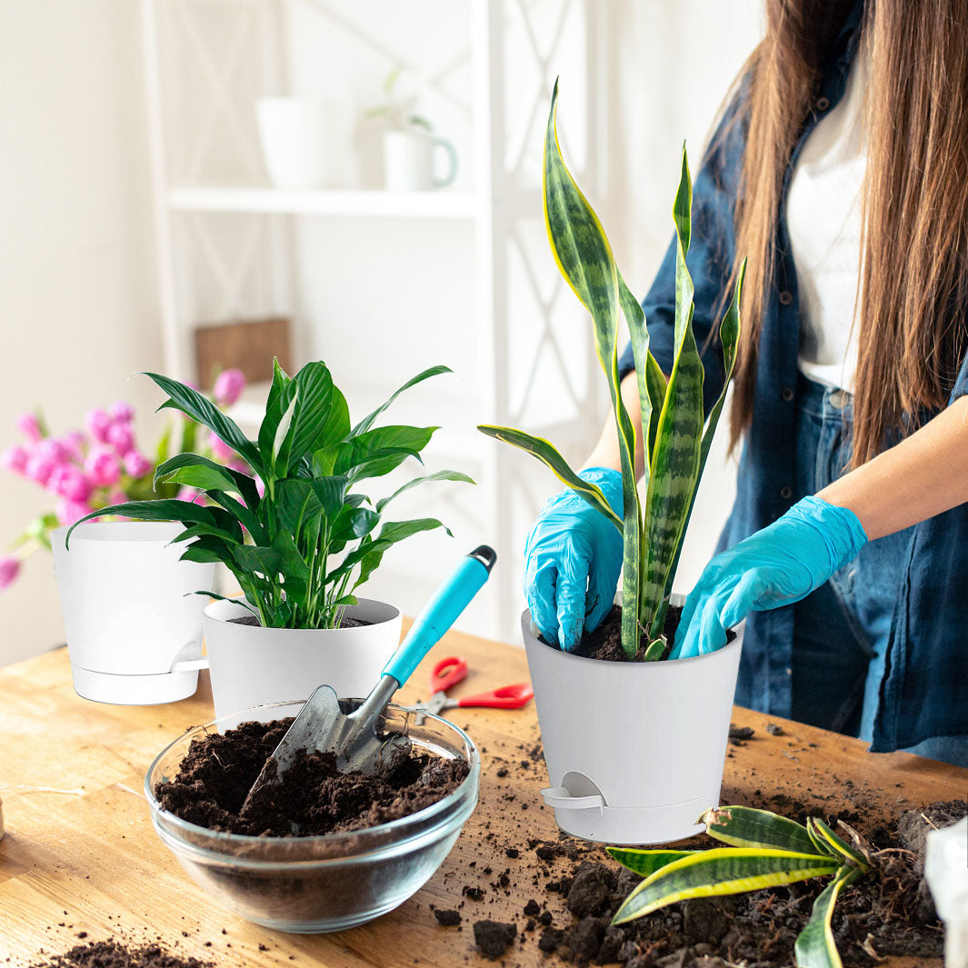 Simlim 6 Pack Indoor Self Watering Plant Pots 5/5.5/6/6.5/7/8 inch Planter Pot with Drainage Holes and Reservoir for Indoor Outdoor Flowers Plants White