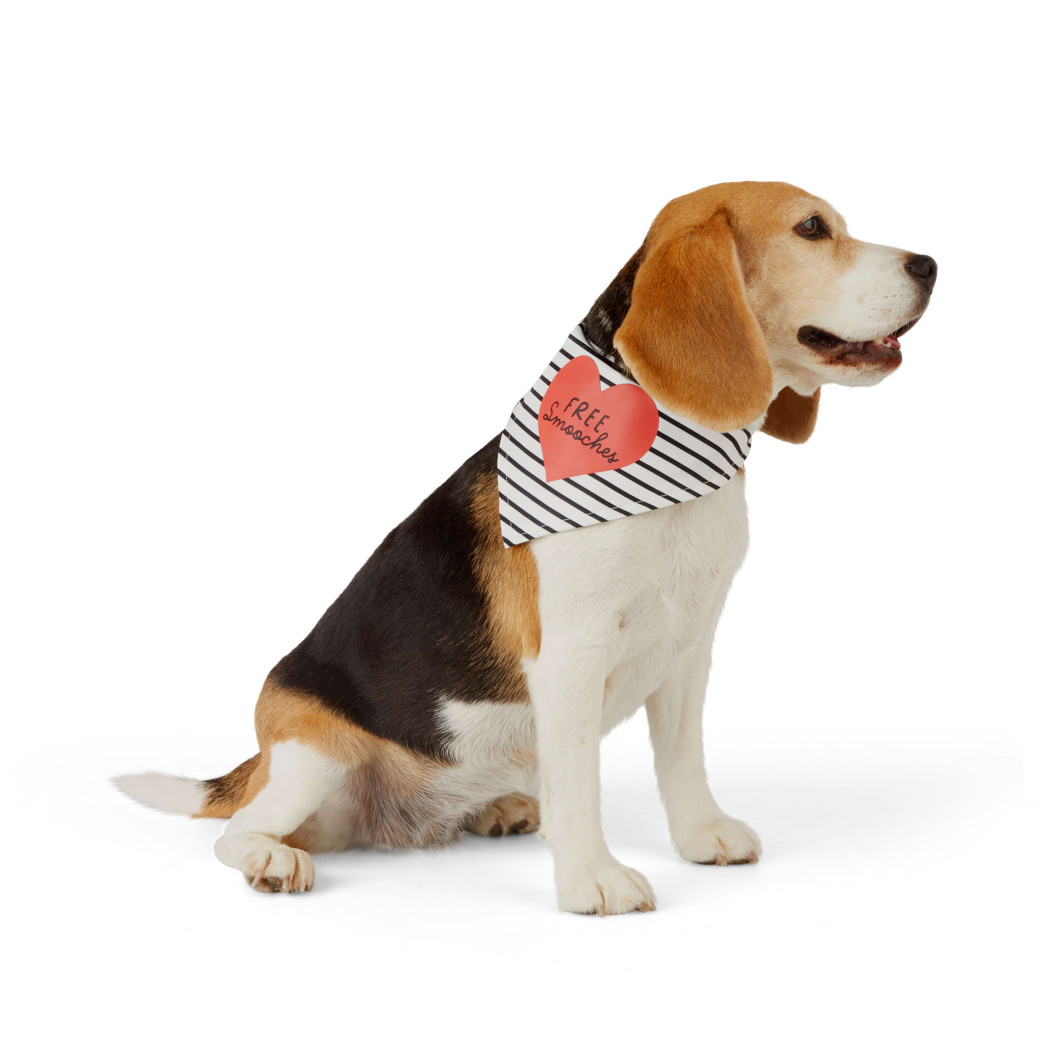 YOULY Valentines Day Free Smooches Striped Dog Bandana， Small/Medium