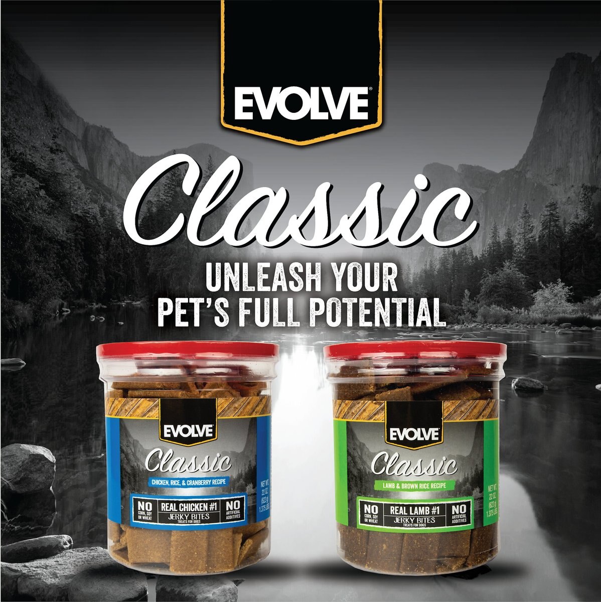 Evolve Classic Lamb and Brown Rice Recipe Dog Treats