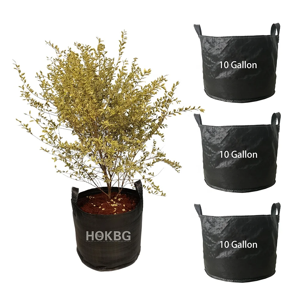 HOKBG Anti UV woven PP fabric Plant Grow Bags 10 Gallon Heavy Duty fabric Garden Pot Aeration Nursery bag for Outdoor plants