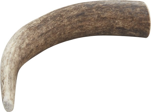 Health Extension 4-in Whole Elk Antler， Medium