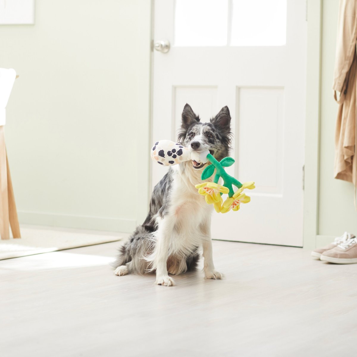 Frisco Brunch Flowers Plush Squeaky Dog Toy