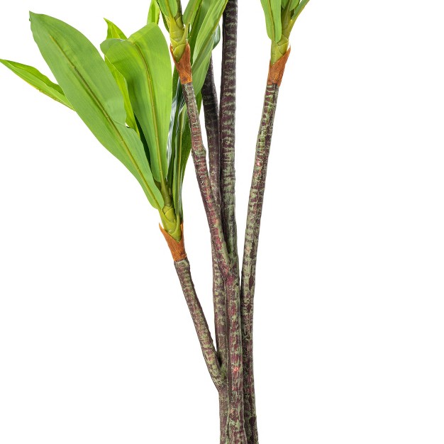 Artificial Real Touch Dracaena