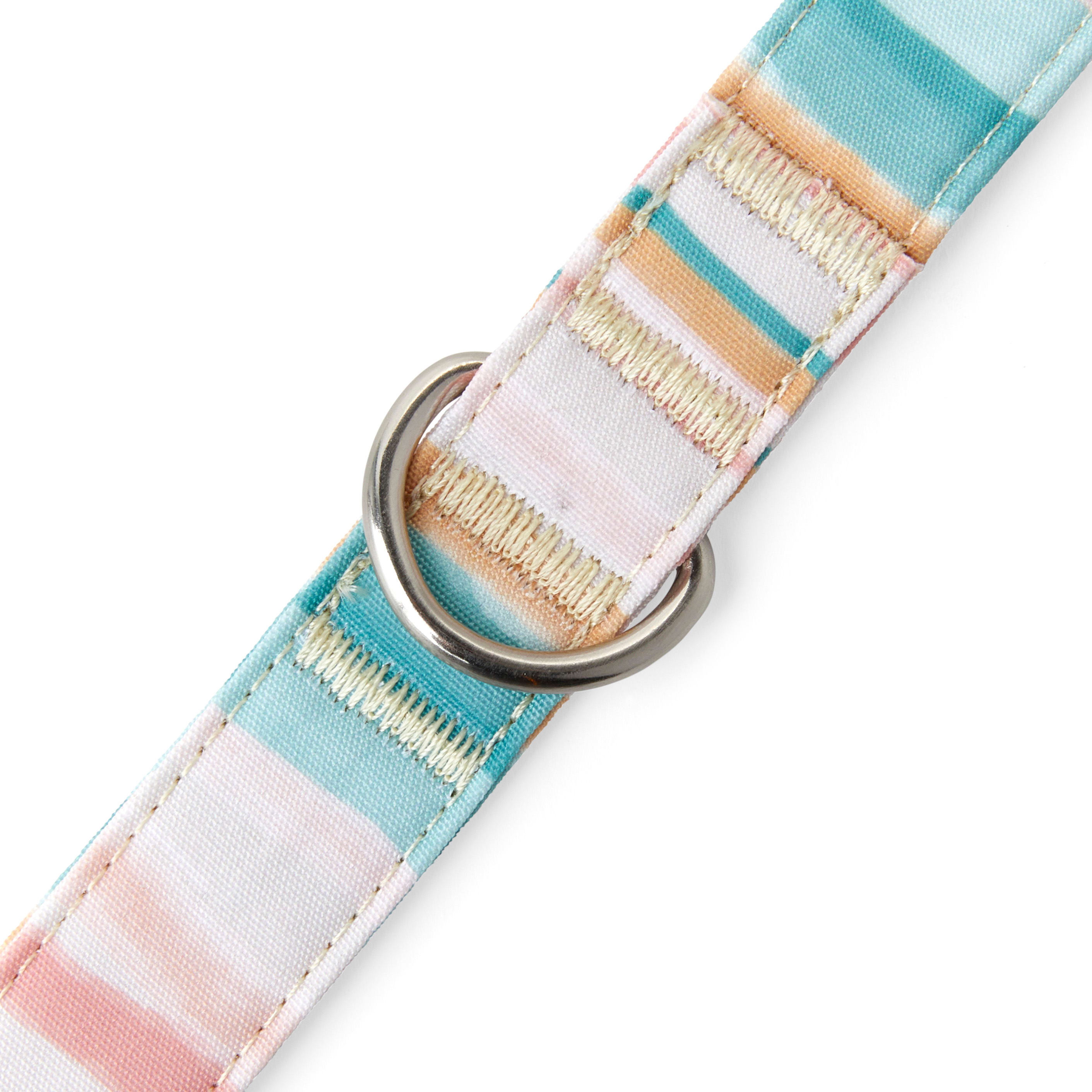 YOULY The Adventurer Multicolor Watercolor Striped Dog Leash， 6 ft.