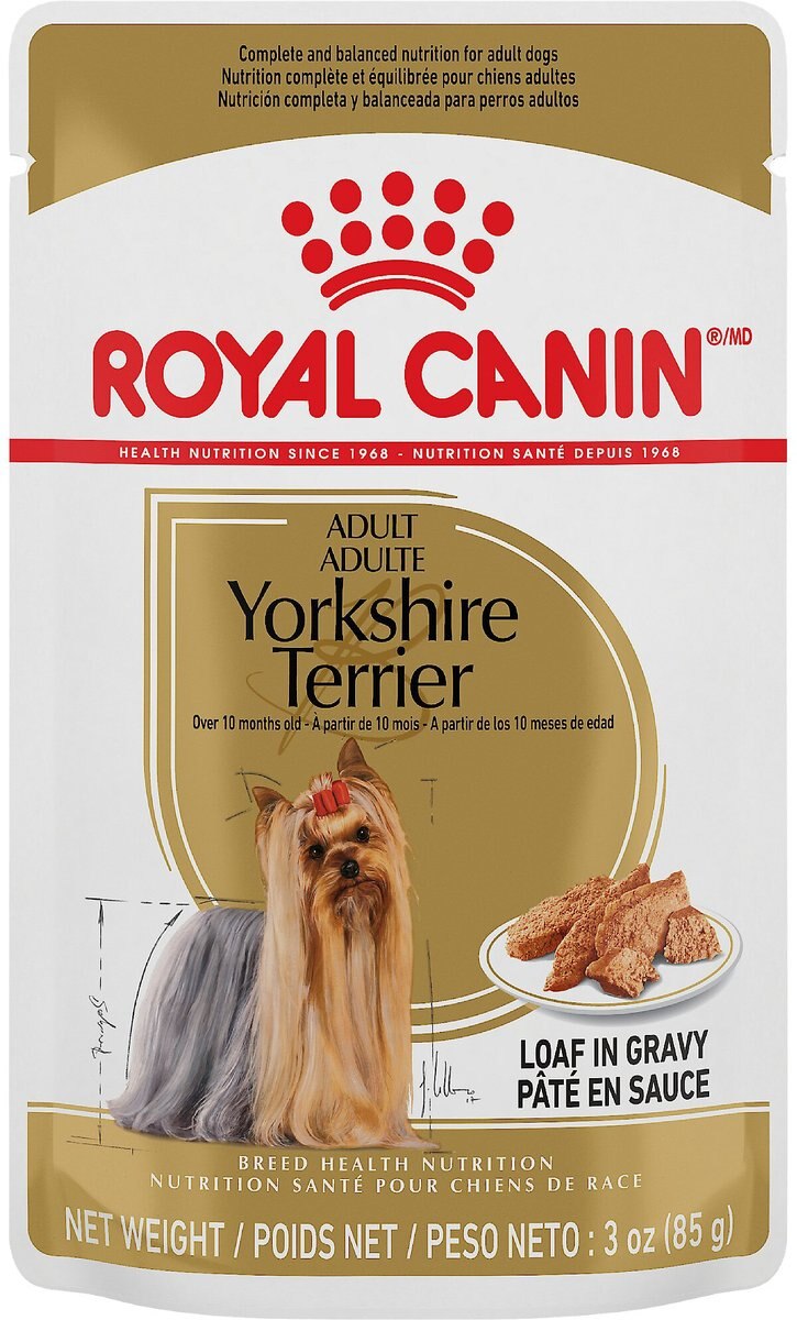 Royal Canin Breed Health Nutrition Yorkshire Terrier Adult Loaf in Gravy Pouch Dog Food， 3-oz pouch， case of 12