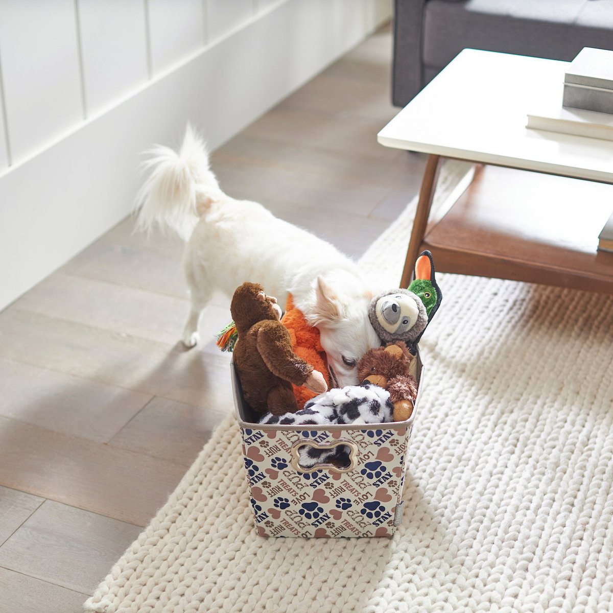 Frisco Rectangle Collapsible Pet Toy Storage Bin， Tan Novelty Paws