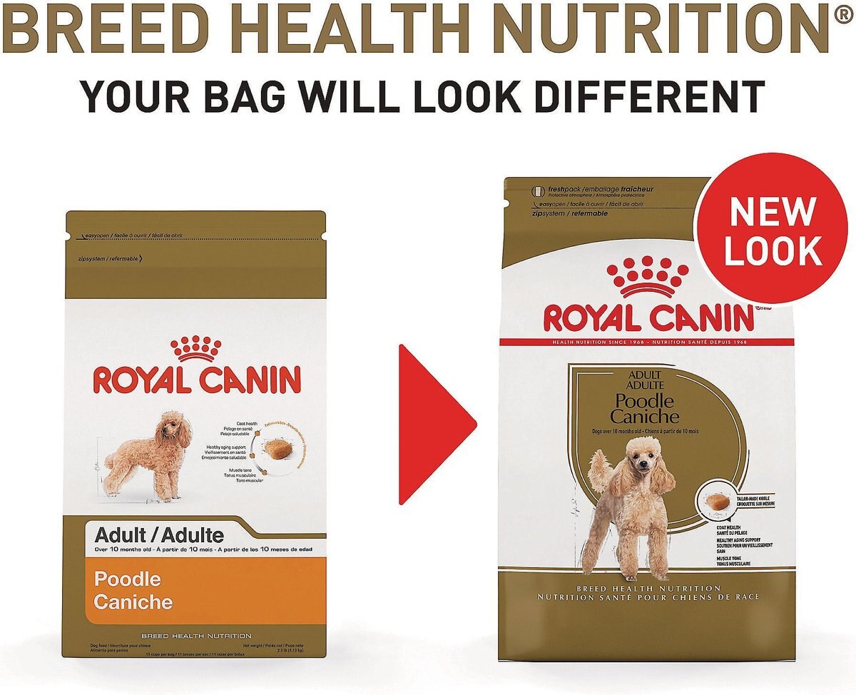 Royal Canin Breed Health Nutrition Poodle Adult Dry Dog Food