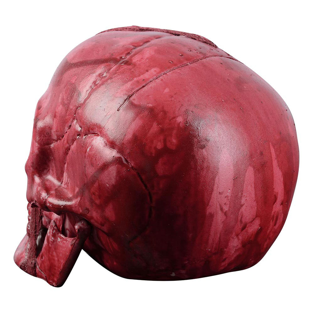 Yescom Skeleton Head Red Halloween Prop Decor