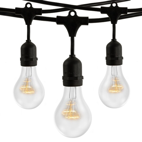 Bulbrite 48 Foot Black String Light with 15 - 25 Watt 2700K Incandescent Bulbs Shopping - The Best Deals on String Lights | 37939399