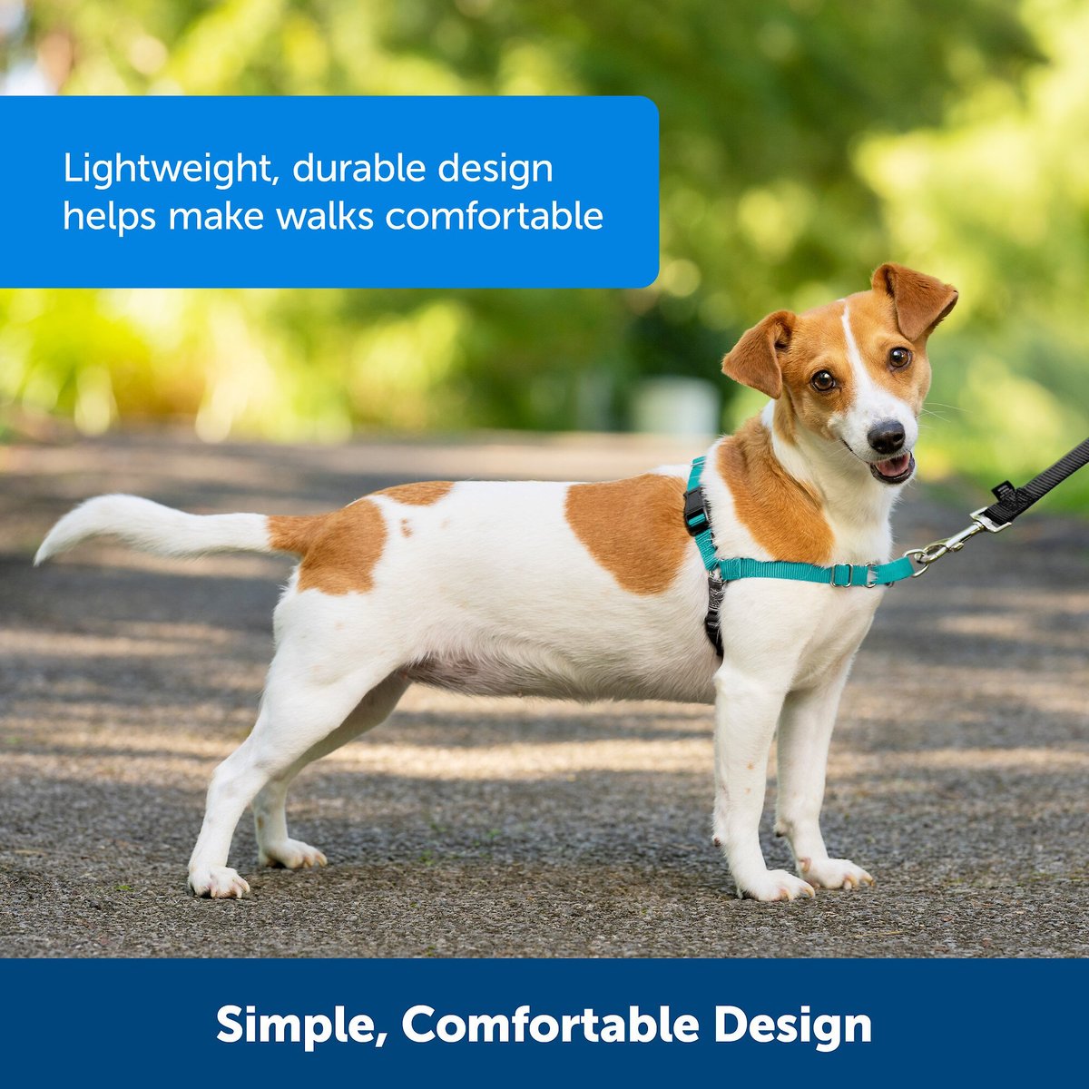 PetSafe Easy Walk Dog Harness