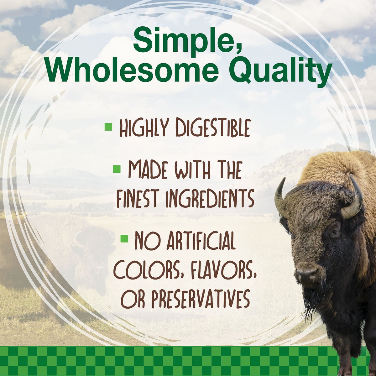 Nylabone Healthy Edibles Wild Natural Long Lasting Small Bison Flavor Dog Chew