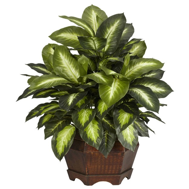 X 24 quot Artificial Golden Dieffenbachia Silk Plant In Wooden Pot Nearly Natural