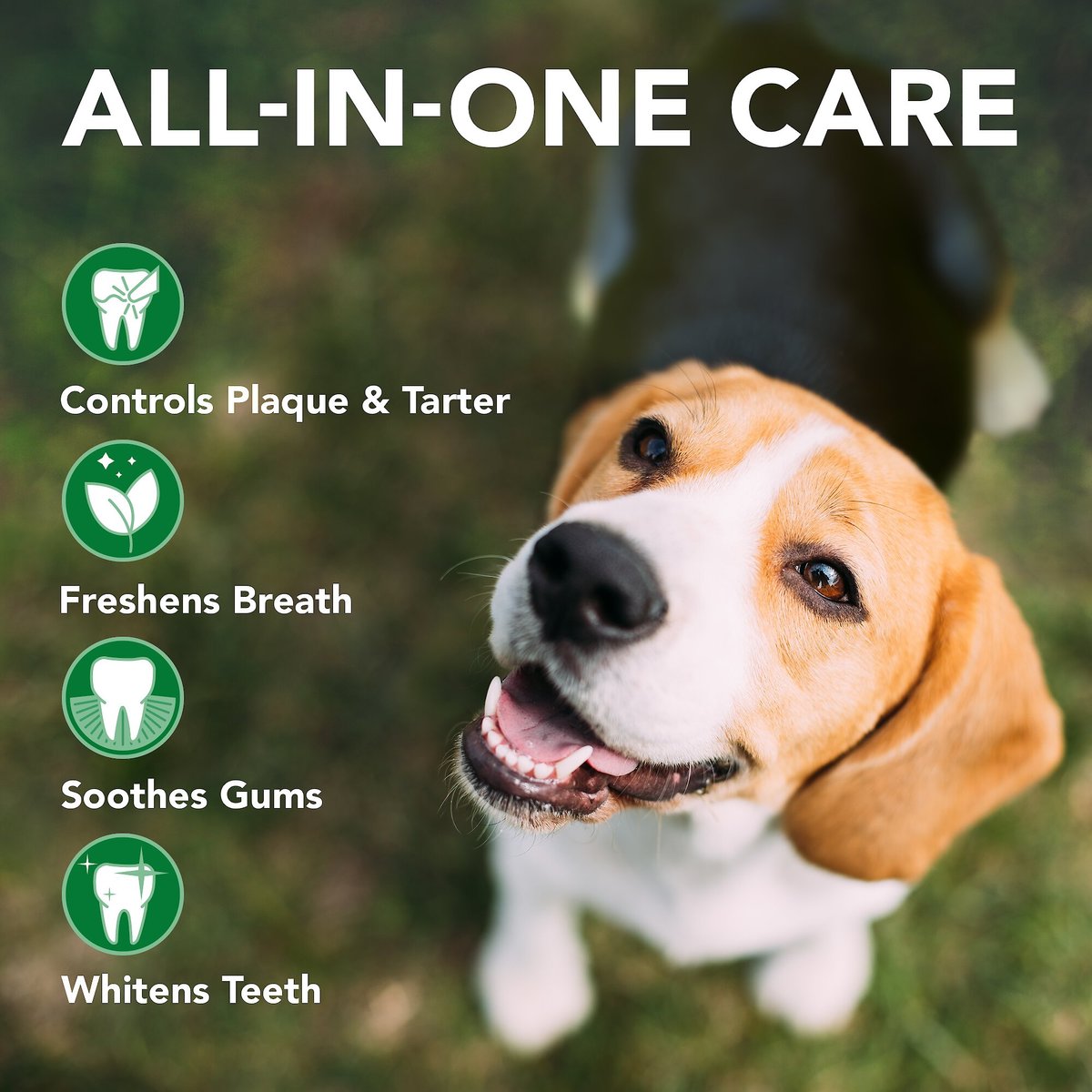 Vet's Best Toothbrush and Toothpaste Dental Kit