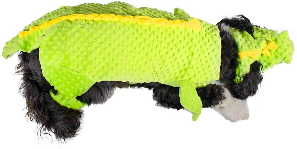 Royal Animals Dragon Dog Costume