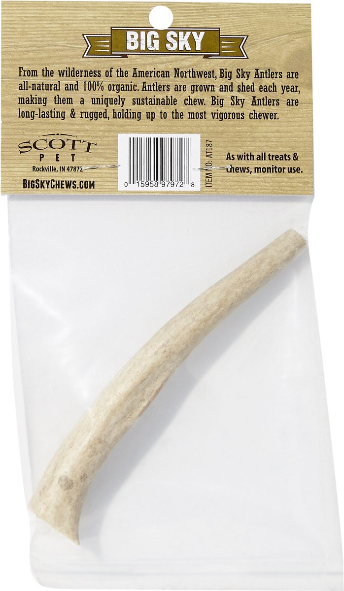 Big Sky Antler Chews Natural Elk Antler Dog Chews， Small