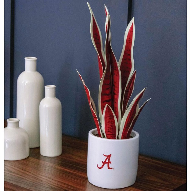 Quicskcart University Of Alabama Faux Snake Plant， Indoor Artificial Plant For Home Decor