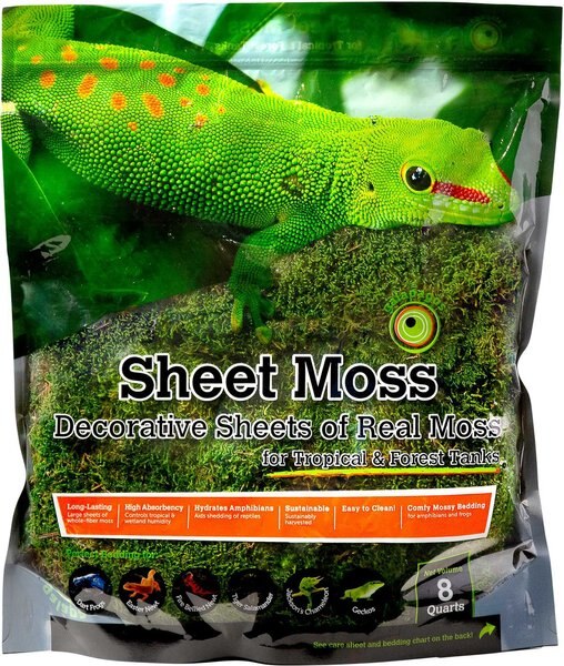 Galapagos Sheet Moss Reptile and Amphibian Terrarium Moss， Fresh Green