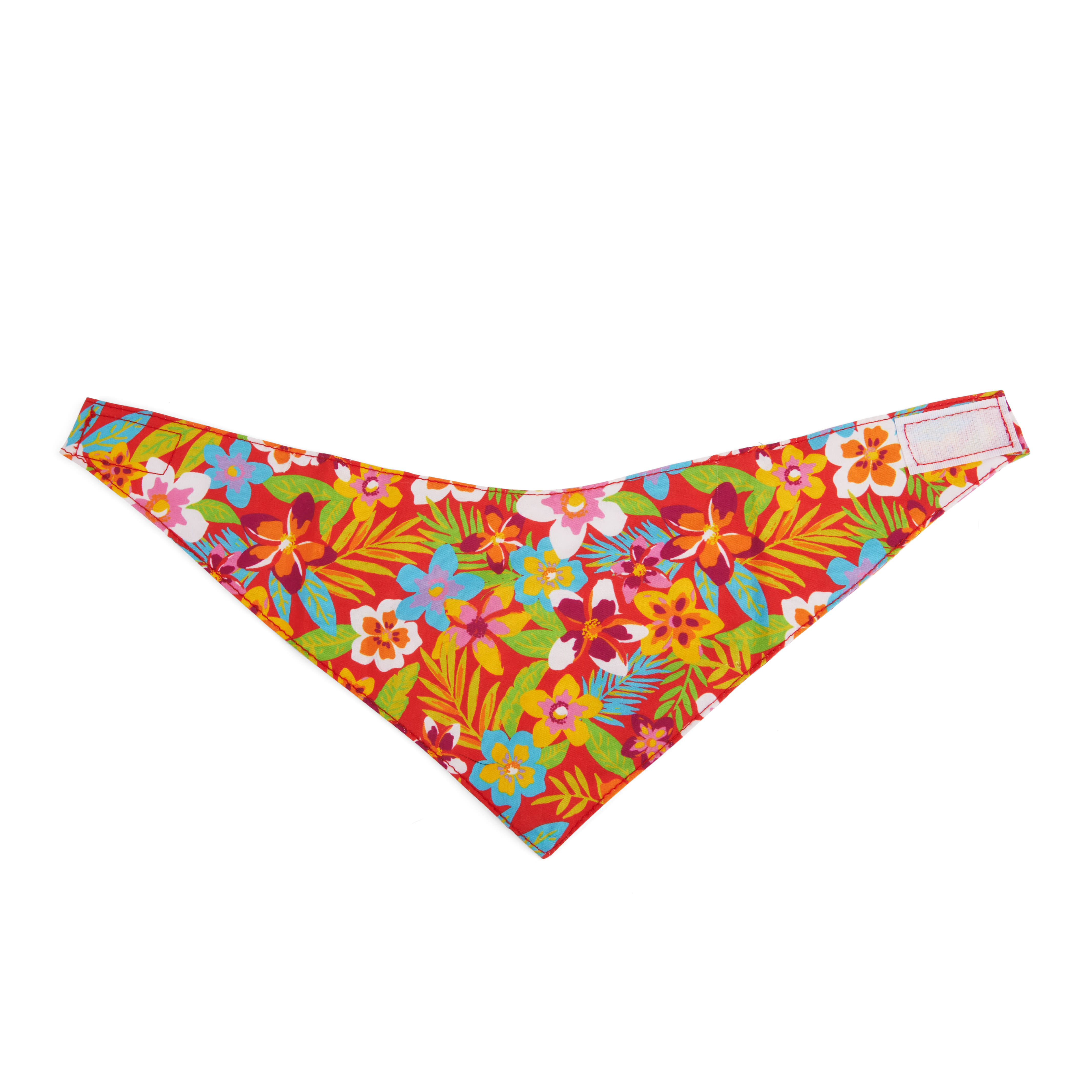 YOULY Cat Tropic Floral Bandana， Small/Medium