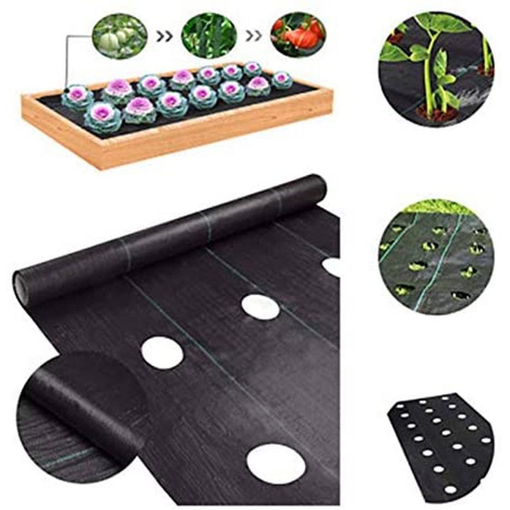 Agfabric 4 ft. x 12 ft. Easy-Plant Weed Block Garden Weed Berrier Landscape Fabric with Planting Hole 4 in. Dia G300412H406