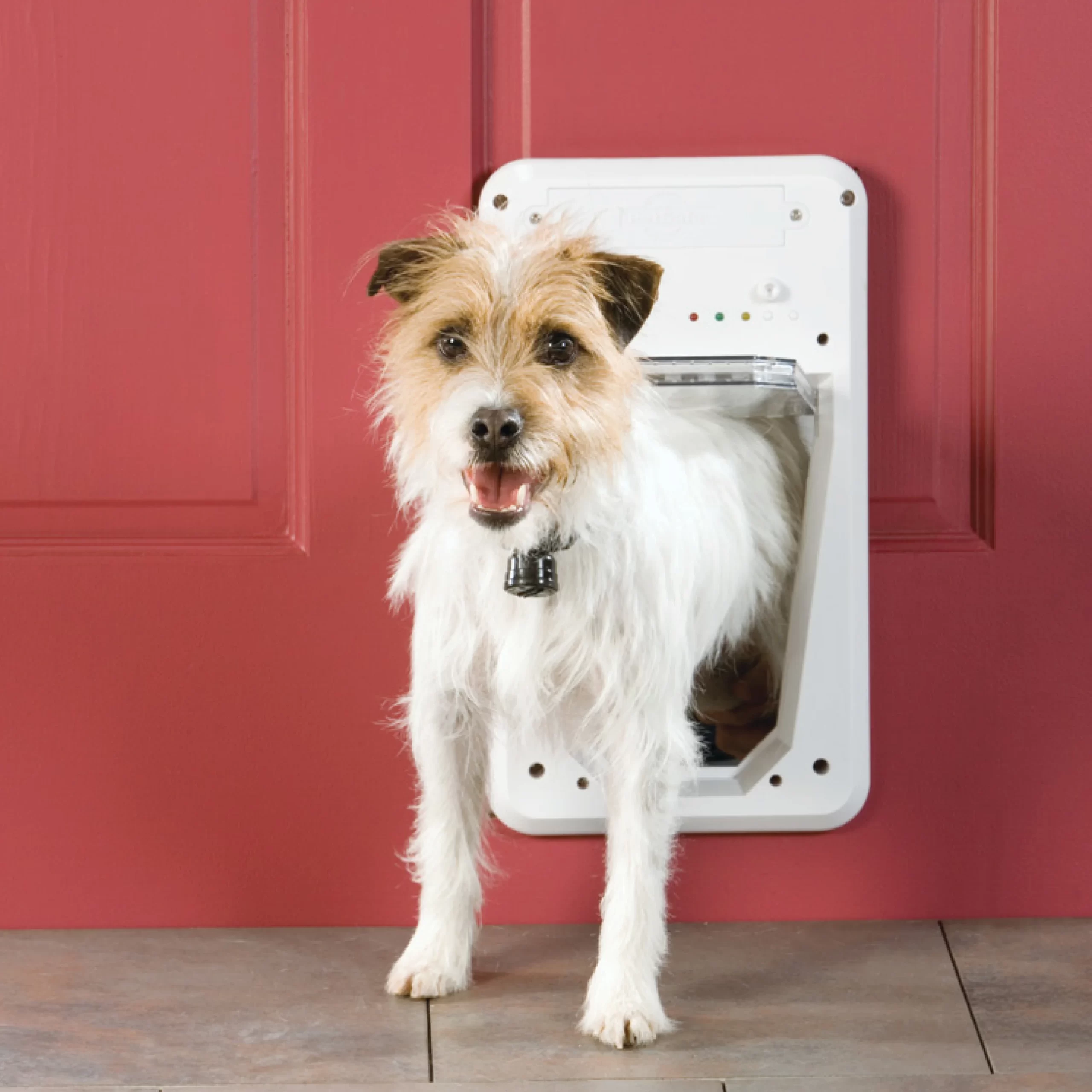 PetSafe PPA11-10711 Electronic SmartDoor - Collar Activated Dog and Cat Door - Small to Large Pets