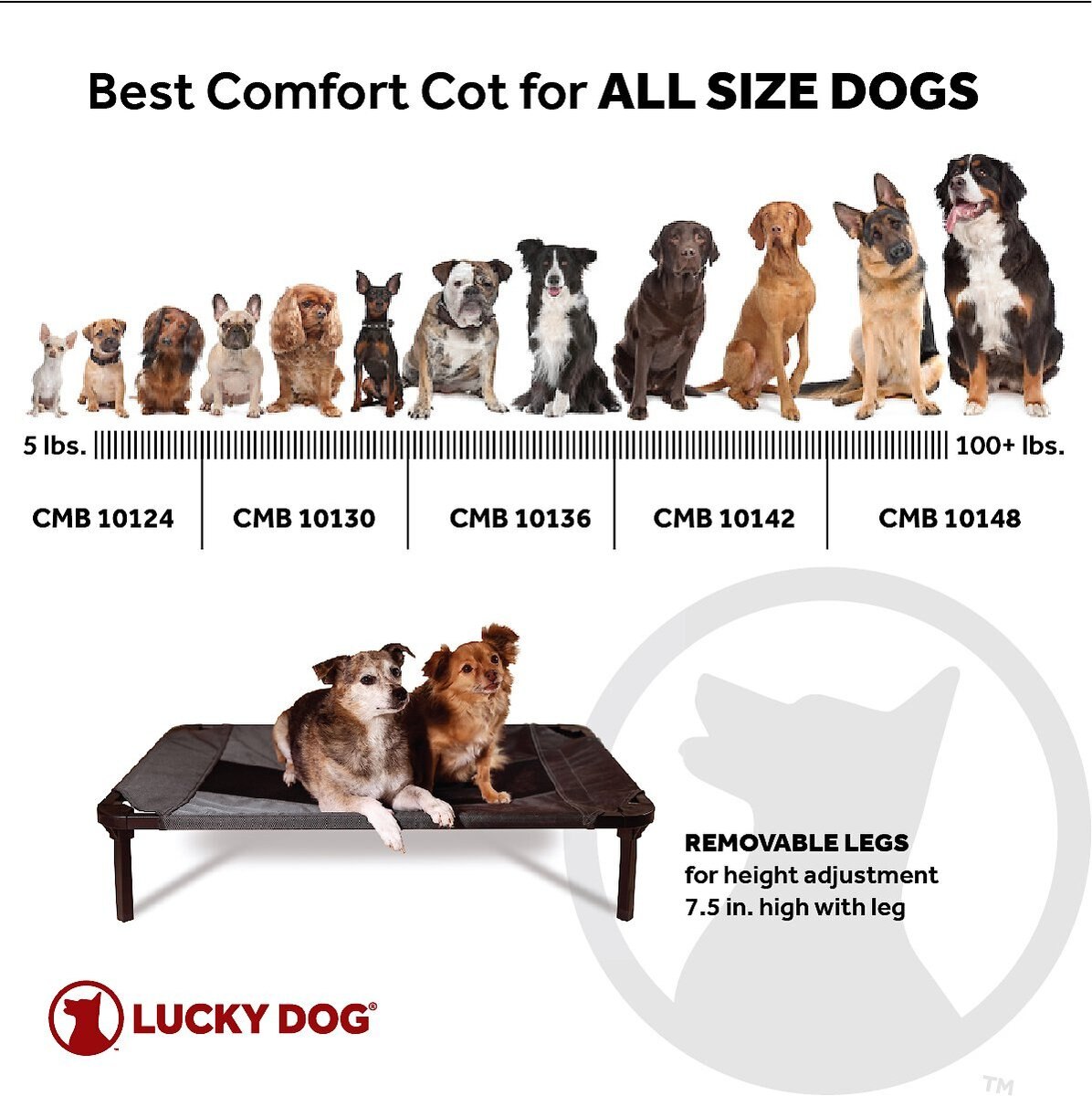 Lucky Dog Comfort Cot Elevated Dog Bed w/ Removable Cover