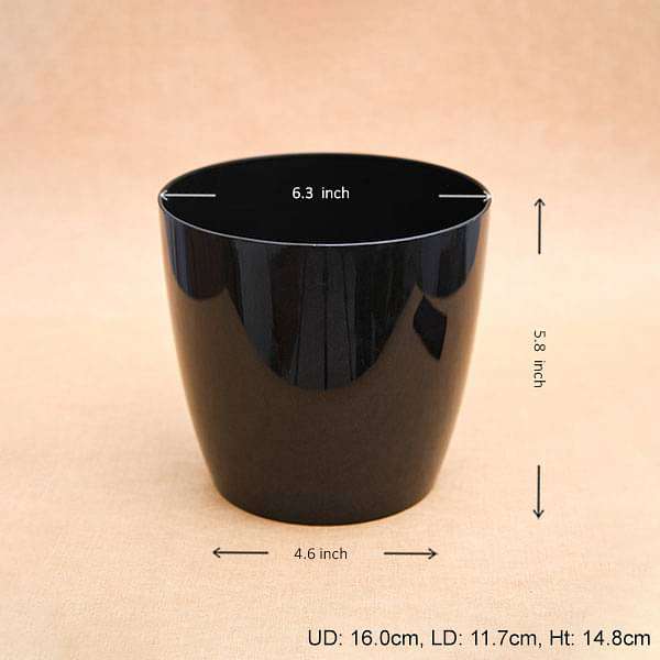 6.3 inch (16 cm) Valencia 16 Round Plastic Planter (Black) (set of 6)