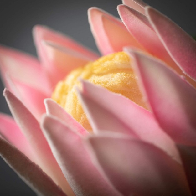 Artificial King Protea Stem