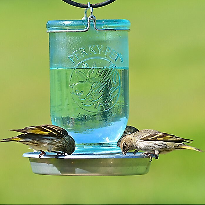 Perky-Pet Mason Jar Wild Bird Waterer