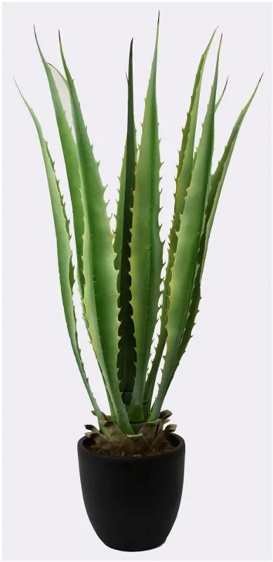 Artificial Green Agave Plant Arrangement in Black Planter