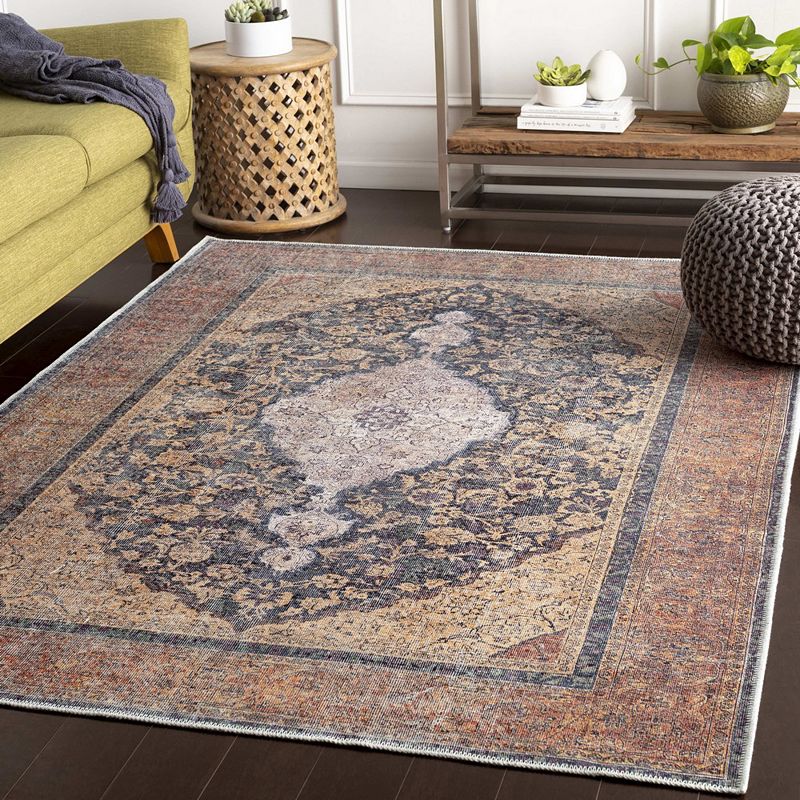 Olterterp Traditional Washable Area Rug