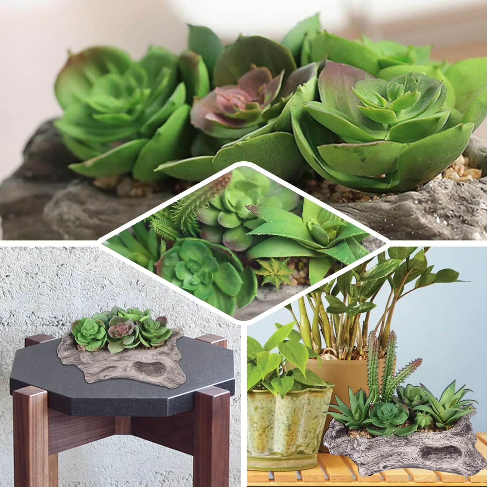 Natural Artificial Log Planter and 15 Assorted Succulent Plants 7