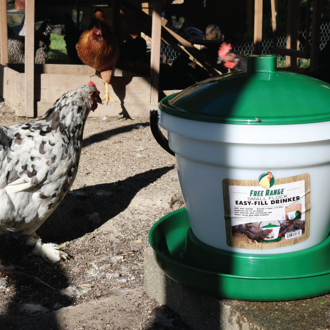 Harris Farms Poultry Drinker 3.5 Gallon