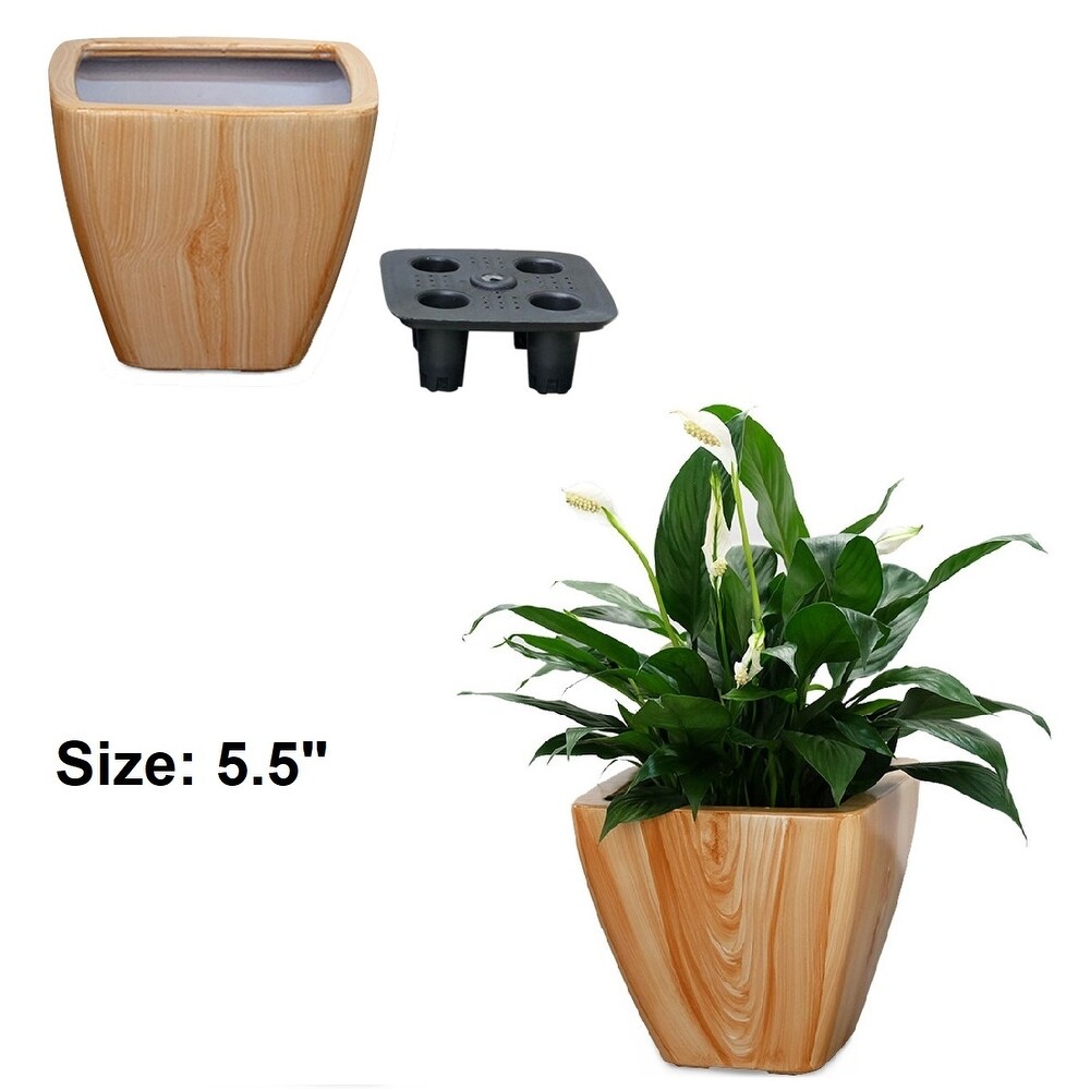 Set of 2 CATLEZA Smart Self watering Planter Pot suitable for  Plants  Herb  Succulents  Flowers