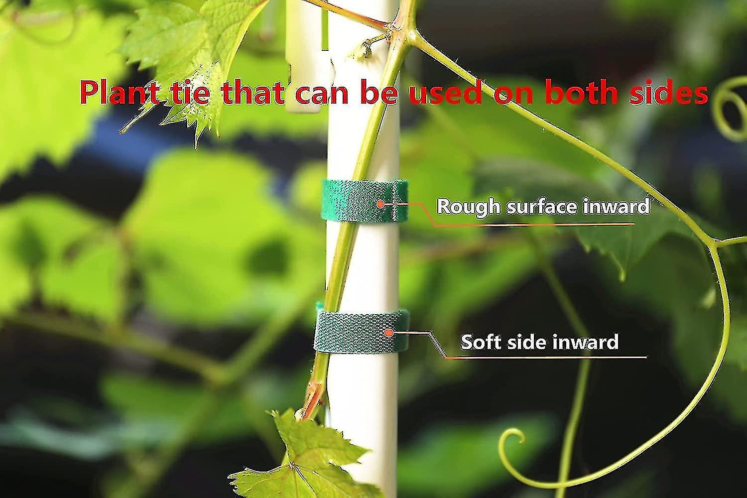 Plant Ties Garden Tape Reusable Nylon Plant Tie Strap，tomato Plant Support，tree Ties Plant Supports(